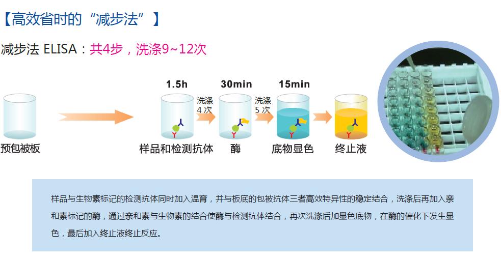 ELISA-1.jpg ELISA-1.jpg